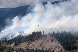 Photo shows smoke billowing from a line of trees, BC wildfires Canada's top ten weather stories 2017 by David Phillips
