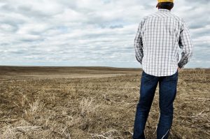 Photo shows a man with his back to the camera looking out across a brown field, Canada's top ten weather stories 2017 by David Phillips