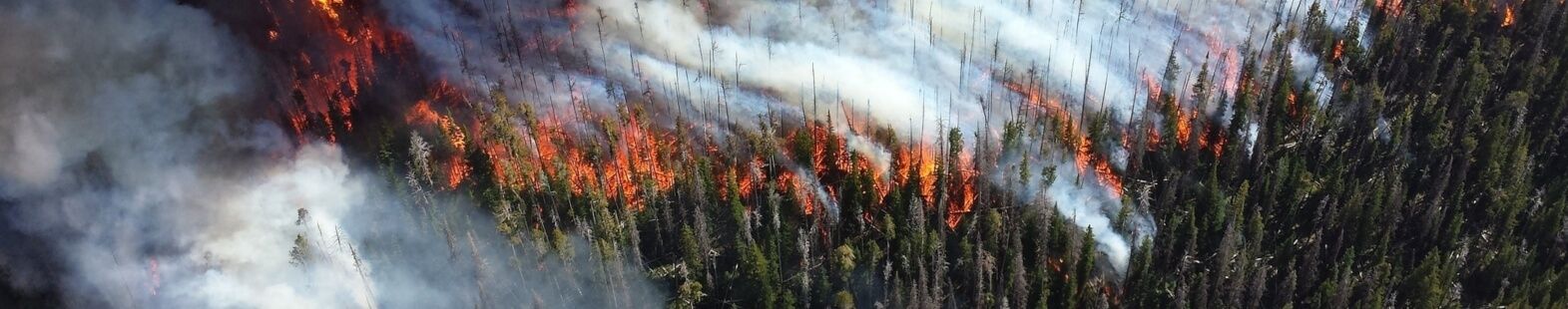 Photo shows a smiliing Bob Kochtubajda, caucasian man, balding with glasses, for his article on the 2014 wildfire season in the NWT