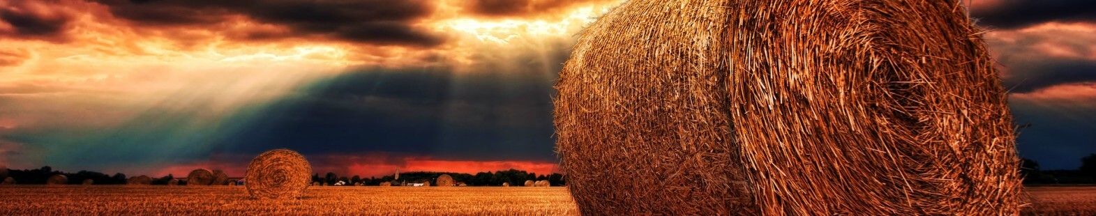 Photo shows a field with bails of hay and setting sun in the distance