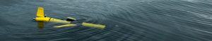 Photograph of the UBC Glider in the water, used for the study of baleen whale habitats of Roseway Basin, NS. Glider is a long yellow tube, with wings and a tail fin. It is shown floating just beneath the surface of the water.