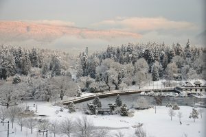 View of a snow filled Stanley Park, during the cold, snowy winter of 2016/17 in Vancouver.