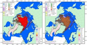 Two maps side by side showing sea ice with red and brown