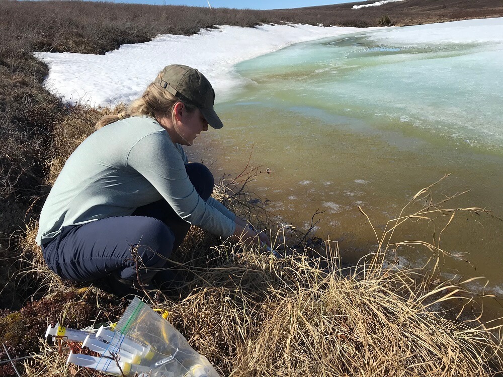 A person kneeling down to reach into a lake to take a sample of water. 